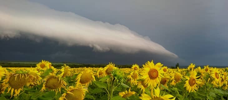 Les effets du changement climatique - Crédit : Laurent Heurley / L’œil du climat / Météo-France