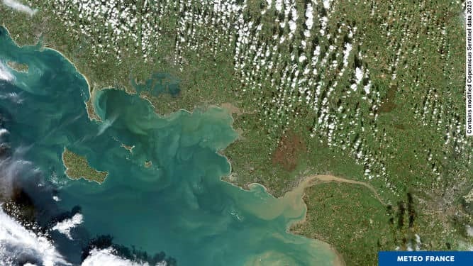 Image satellite - cumulus - Météo-France