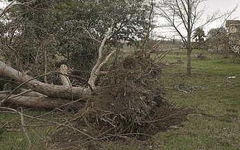Dégâts lors du passage de Klaus en Haute Garonne.