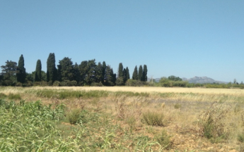 Forts déficits de précipitations sur de nombreuses régions ce mois de juillet.