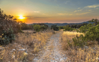 Les fortes chaleurs cette semaine surviennent alors que certaines régions souffrent déjà du manque de pluie.