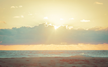 La France a connu une des premières quinzaines de novembre les plus douces depuis 1947. 