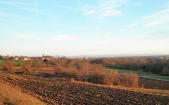 Temps quasi printanier en Alsace en ce début janvier.