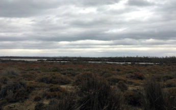 © Infoclimat / ProvenceCCA