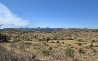 La sécheresse des sols est à un niveau historique sur une grande partie du territoire.