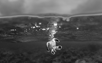 Le prix du Public : « À bout de souffle » par Théo Guillaume