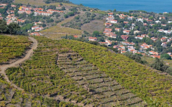 La vue aérienne sur Collioure depuis fort Saint Elme.