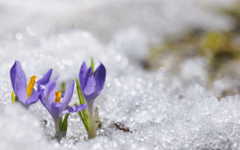 Noël au balcon, Pâques au tison ?