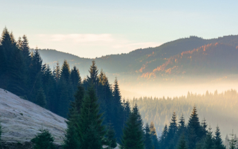 “Noël au balcon, Pâques au tison ?"