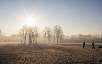 Nouvel An : une douceur remarquable en France et en Europe.