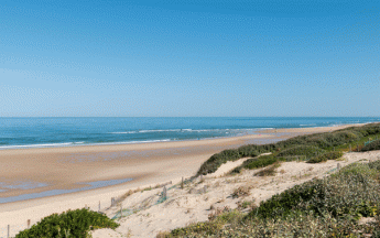 Plage de Biscarosse sous le soleil.