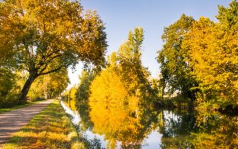 Octobre 2022 a été le mois d'octobre le plus chaud jamais enregistré.