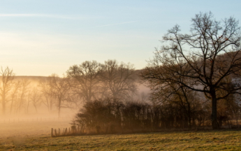 La dernière décade de décembre a été la plus chaude jamais enregistrée.