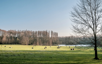 Retour de la douceur sur le pays