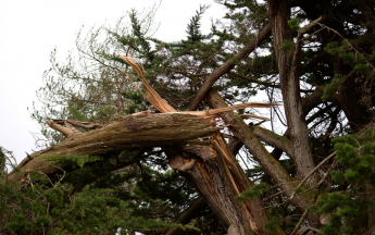 Illustration tempête