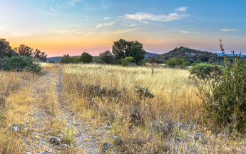 Les précipitations des deux premières décades de juillet 2020 sont très inférieures aux normales 