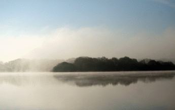 Nouvelle gelée blanche et brouillard en phase de dissipation sur le Lac au Duc (56).