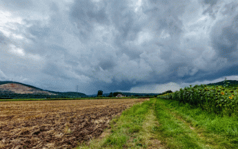 Un mois de juillet globalement plus froid, plus humide et moins ensoleillé que la normale.