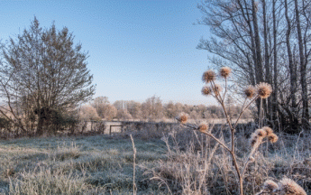 Paysage hivernal en avril 2021 dans le Nord