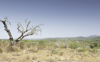 Les fortes chaleurs se sont faites ressentir jusqu'en France. Ici dans le Var.