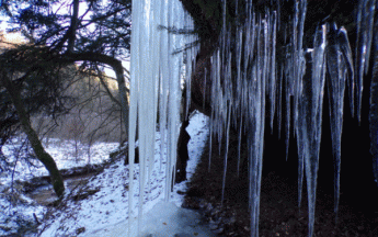 Grand froid et neige sur le nord de la France