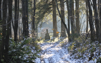 La nuit de la Saint-Sylvestre sera froide, avec des gelées parfois fortes. 