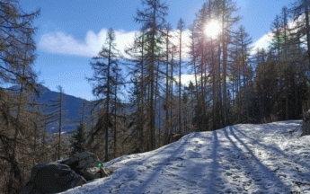 La neige fait son retour sur les massifs cette semaine.