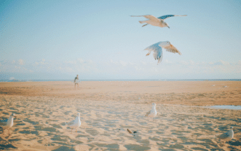 La fin du printemps météorologique a été marquée par une chaleur inédite en mai.