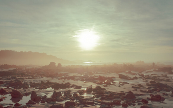 Le premier semestre 2020 est au 2e rang des plus chauds sur le globe.