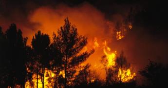 Changement climatique : quel impact sur les feux de forêt ?
