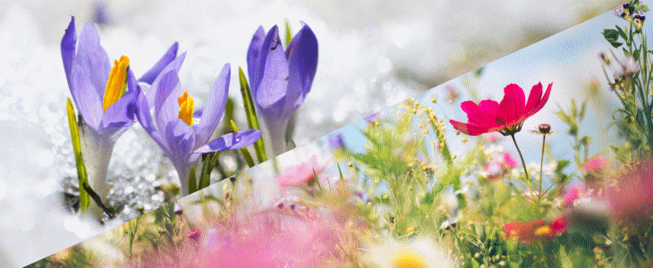 Les températures peuvent varier brusquement au printemps ! Pourquoi ?