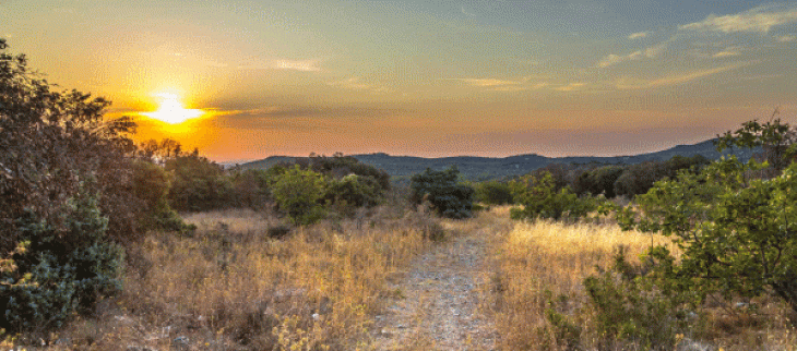 Les fortes chaleurs cette semaine surviennent alors que certaines régions souffrent déjà du manque de pluie.