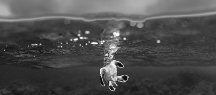 Le prix du Public : « À bout de souffle » par Théo Guillaume