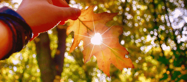 Douceur en octobre en Europe