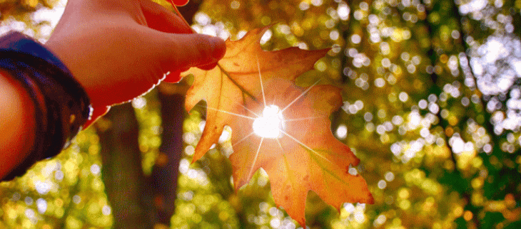 Image d'illustration.