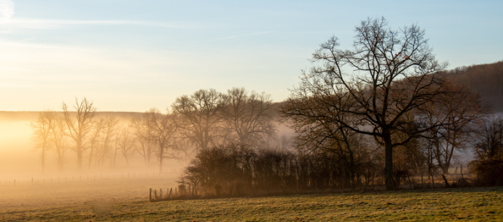 La dernière décade de décembre a été la plus chaude jamais enregistrée.
