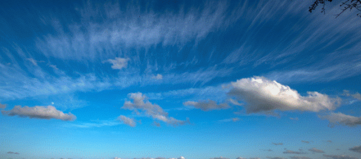 Grande douceur sur la France, ici dans l'Orne