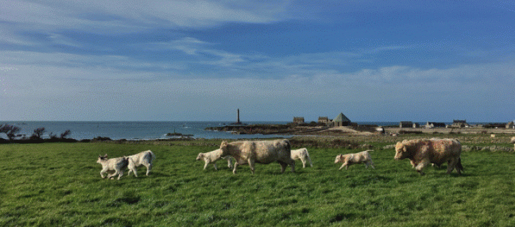 Temps souvent sec et ensoleillé en mars, surtout sur l'Ouest comme ici à Goury (50)
