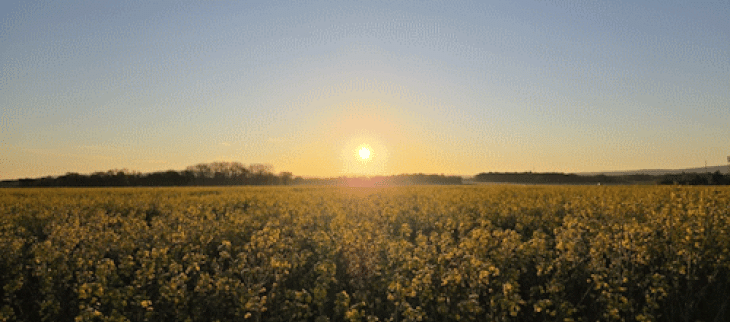 Cette semaine, le temps va rester chaud et ensoleillé.