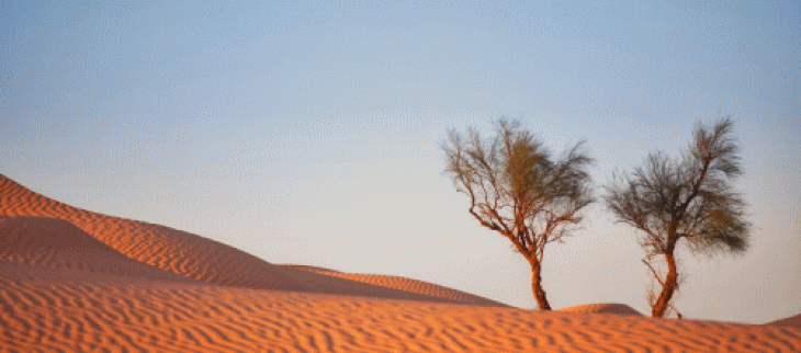 Espagne et Maroc : une vague de chaleur exceptionnelle