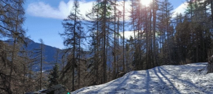 Les vacances de février débute ce soir pour la zone A