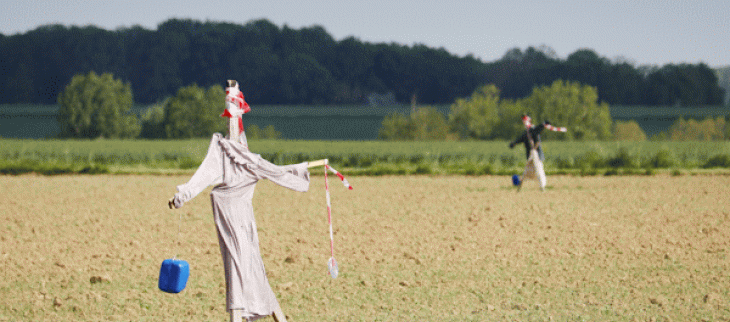 Le manque de pluies a entraîné un assèchement précoce des sols sur le Nord-Est