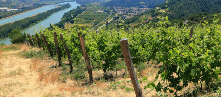 Une vague de chaleur exceptionnelle par sa durée en début d'été