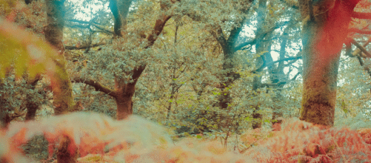 Octobre 2020, 1er mois plus frais que la normale depuis mai 2019