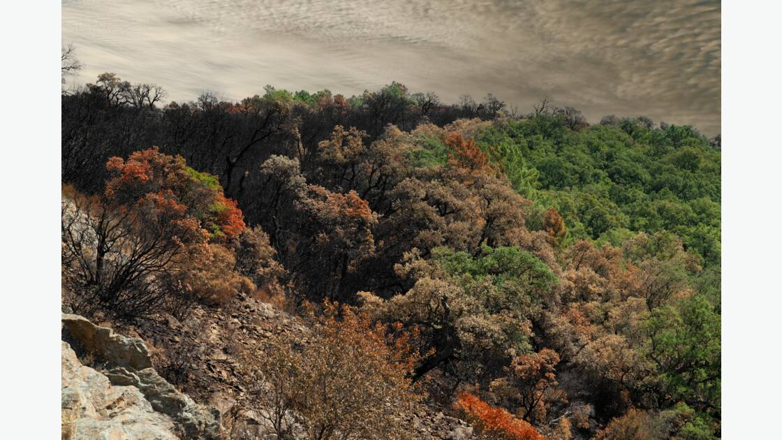 Incendie par Laurent Leoncini