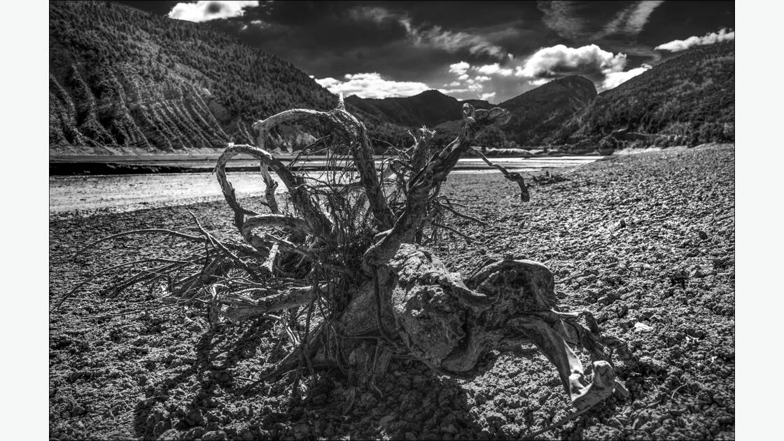 La Souche, par André Bordes