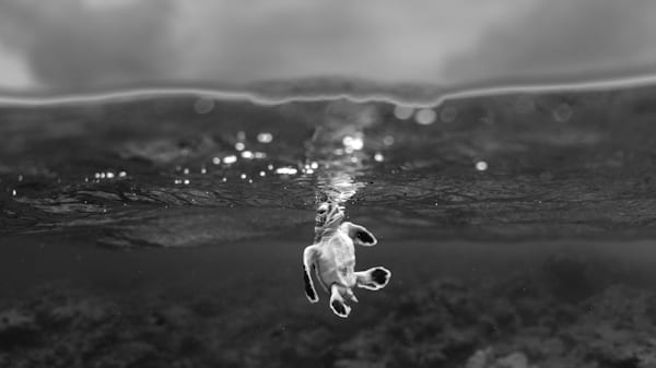 « À bout de souffle » © Théo Guillaume