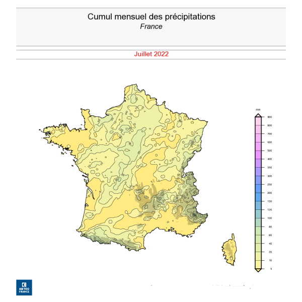 Cumul de précipitations en France en juillet 2022. © Météo-France.