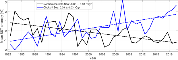 Anomalie de la température de surface de la mer par rapport à la période 1982-2010, en mer de Barents (en noir) et mer de Chukchi en bleu - © NSIDC