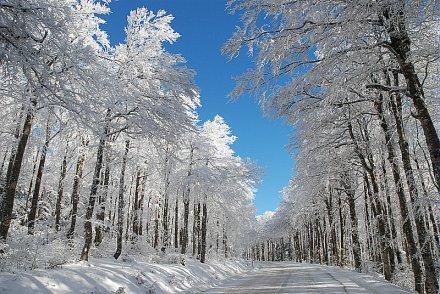Neige et froid le 29 novembre 2010 © Météosite Mont-Aigoual